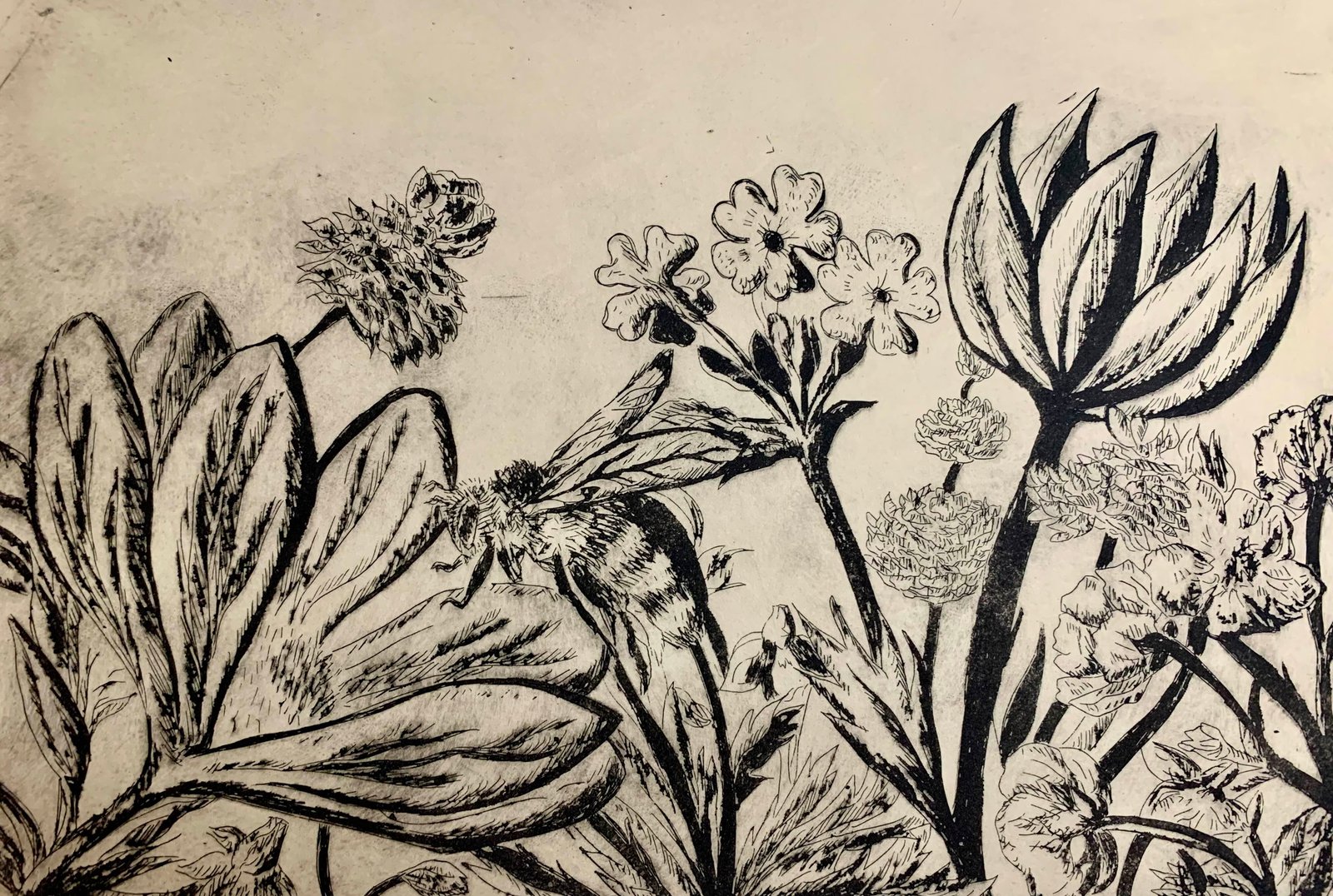 Etching print of a bee surrounded by floral. Black and white.